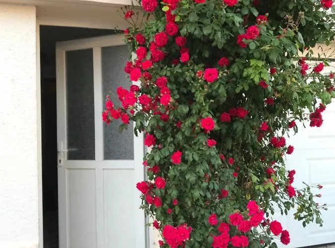 Joli Au Coeur De Verdun